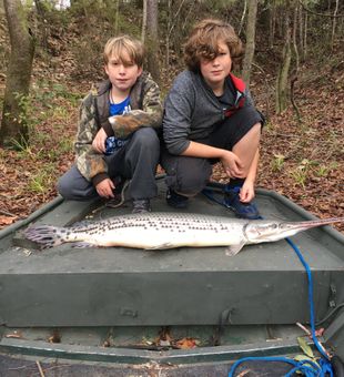 Long nose Gar! - St. Marks, FL.