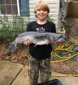 Big Blue Catfish for this young angler - St. Marks, FL.