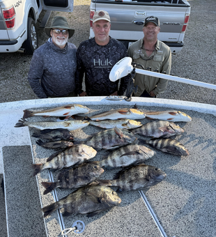 Caught a whole boatload of the good stuff!