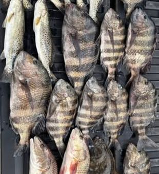 Now that was a productive run - St Marks, FL.