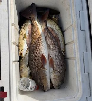 Redfish, trout, and good times on the flats.