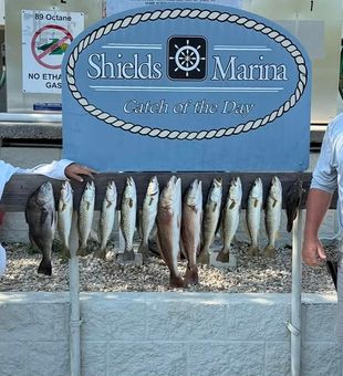 Fresh catch and shallow water memories in St. Marks, FL.