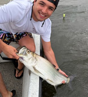 Beautiful tarpon landed in St Marks FL waters!