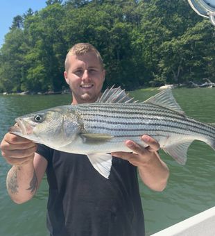 Maine Striper Catch of the Day