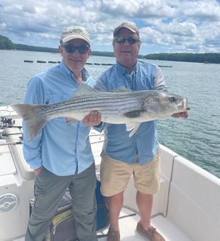 Striper Strike on the Line