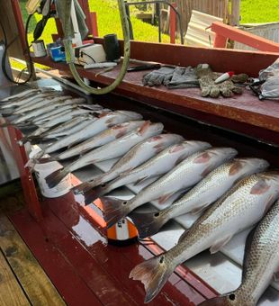 Big catch, South Padre waters