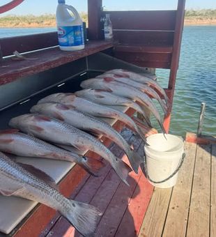 Hooked up on redfish during a perfect Arroyo City inshore fishing day.