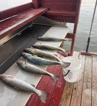 Spend quality time with the family exploring the legendary fishing waters of Arroyo City, one of South Texas’ favorite destinations for anglers of all ages.