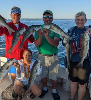 Chesapeake Bay Striper Fishing 