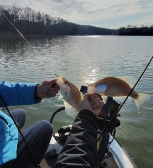 Double crappie success in Cumming GA waters!