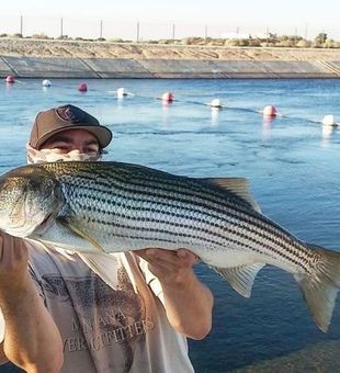 Redding Fishing: Tips & Tales