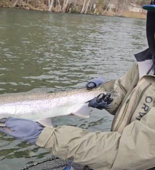 Catch of the day!