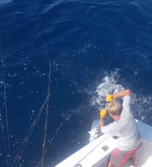 From inshore to offshore, we hook it all!