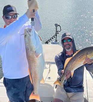 Florida Fishing Bliss Unveiled Red Drum