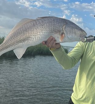 Discover Tampa's Elite Charters