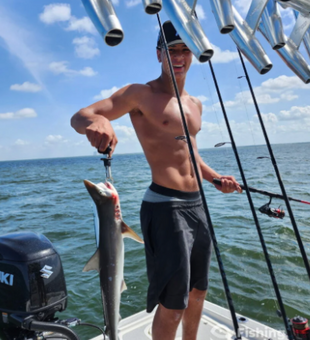Atlantic sharpnose shark success in Crystal River FL!
