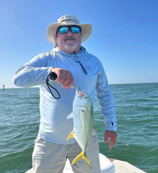 Golden Jack action on the Gulf