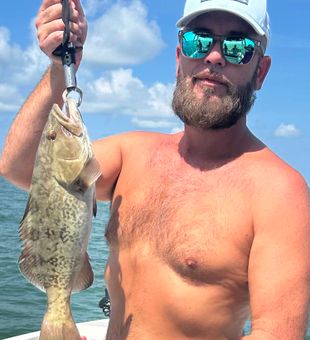 Crystal River gag grouper making the day worthwhile!