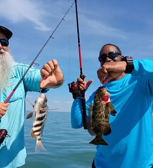 Crystal River gag grouper and sheepshead success!