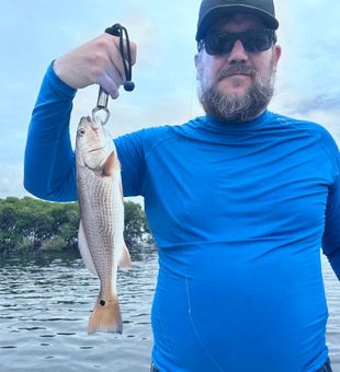 Crystal River redfish ready for the cooler!