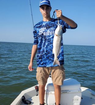 Crystal River redfish action