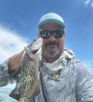 Crystal River reefs adventure