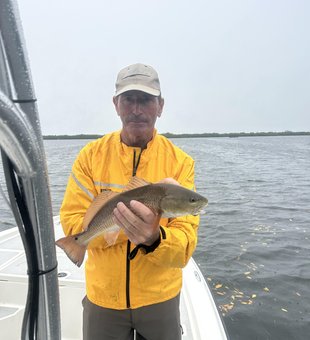 Rainbow River redfish caught on light tackle jigging!