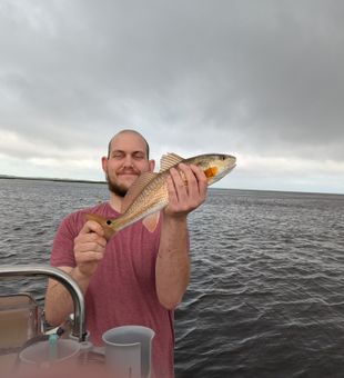 Feisty Redfish caught in Crystal River!