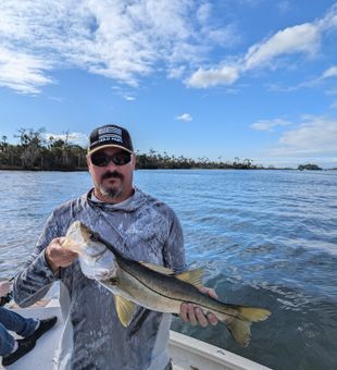 Solid Snook from Crystal River waters!