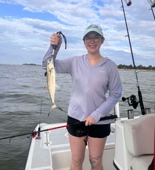Beautiful Spanish mackerel from Crystal River FL!