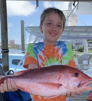 Gulf Coast Vivid Reds