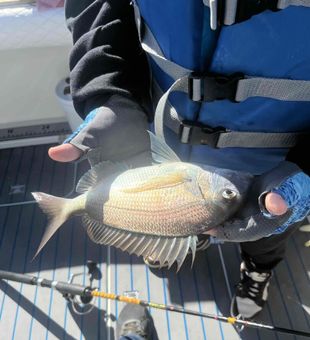 Hooked on Ocean State fishing.