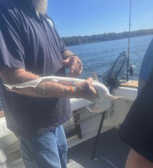 Saltwater vibes, big Rhode Island tides.