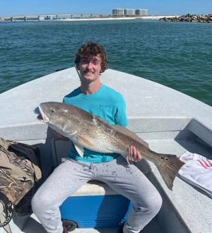 Fun and worthy inshore fishing charter in AL.