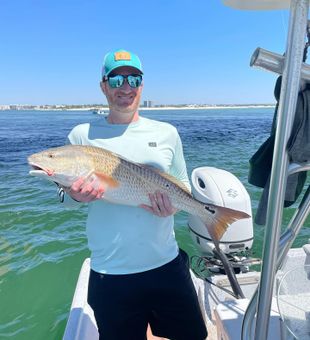 Caught redfish for dinner today in orange beach.
