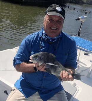 Mosquito Lagoon Black Drum Fishing