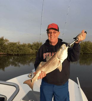 Catching Redfish in Mosquito Lagoon, FL