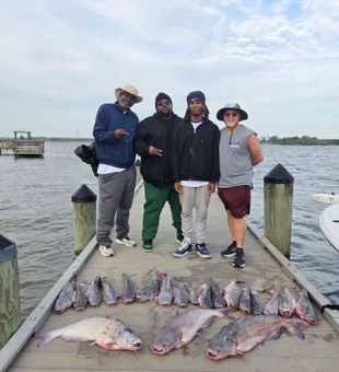 Great catch with a bunch of Blue Catfish!