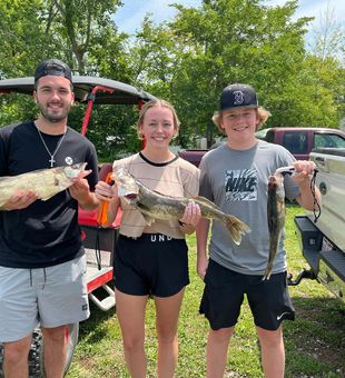 Lake Erie's Walleye Abundance