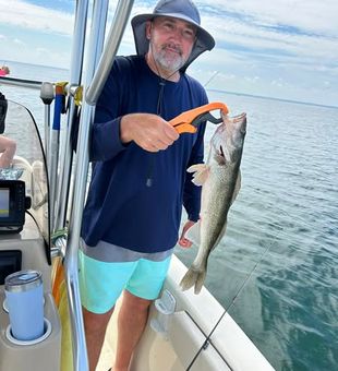 Walleye bite strong in Vermilion