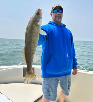 Walleye gold on Lake Erie
