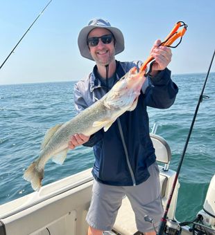 Walleye bite’s on in Ohio