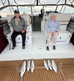 Brown trout success in Sodus Point NY waters!