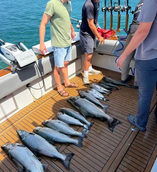 Chinook salmon success at Sodus Point NY!