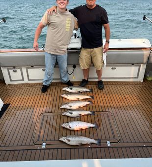 Brown Trout and Atlantic Salmon from Sodus Point!