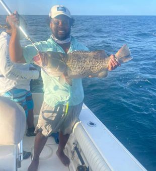 Large Grouper from Charleston, SC