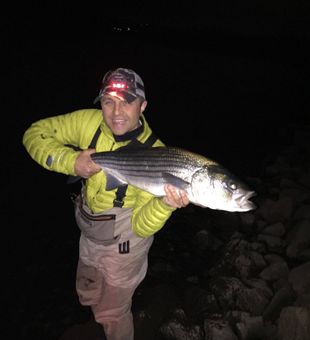 Night Fishing in Bloomfield, CT