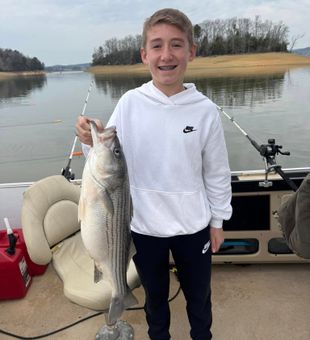Awesome hybrid Striper catch!