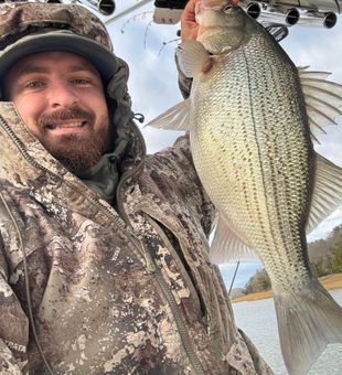 Hooked up in Cherokee Lake, TN