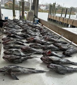 Outstanding day on the water in Lewes Delaware!